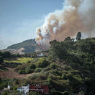 AFP_1JL893.jpg