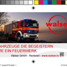 walser.jpg