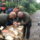 Auswilderung und neue Paten im Wildpark Feldkirch