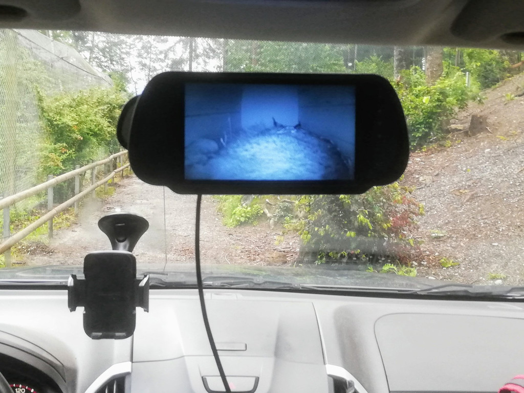 Videou__berwachung der Transportkiste.jpg