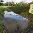 Hochwasser im Lustenauer Ried