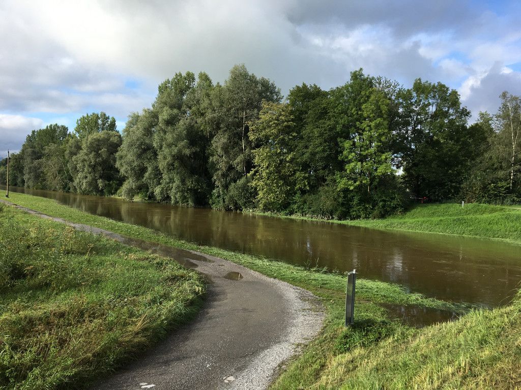 ried6.jpg