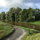 ried6.jpg