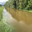 ried5.jpg