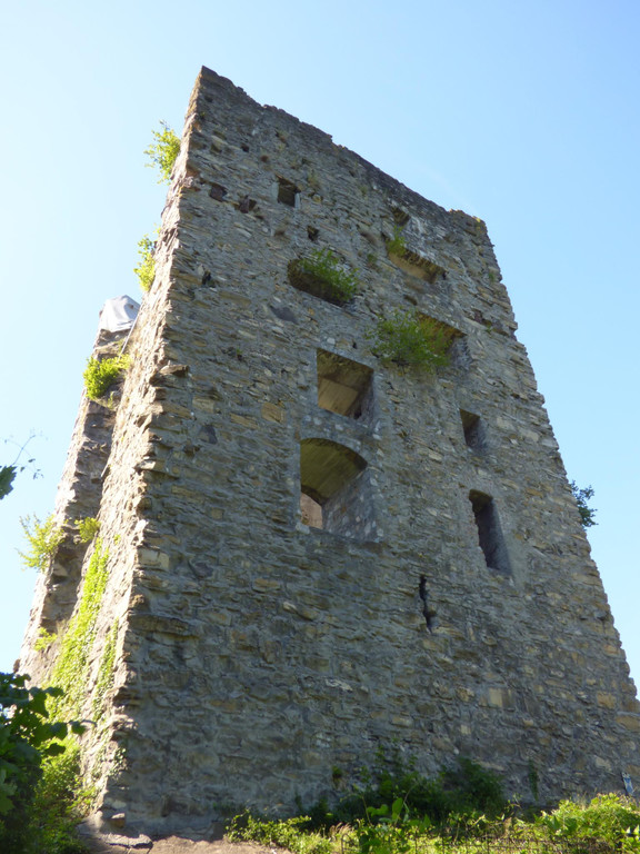 neu-montfort_2.jpg
