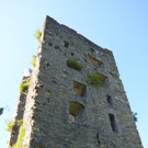 neu-montfort_2.jpg