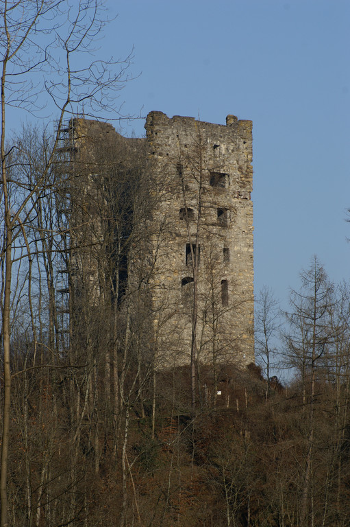 BurgruineNeuMontfort.jpg