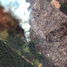 Brazil_Environment_09481.jpg