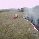 Brazil_Environment_60412.jpg