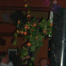 298448.jpg