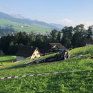IMG_8475.JPG