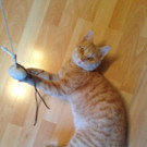 WhatsApp Image 2019-08-25 at 13_20_03.jpeg