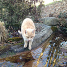 WhatsApp Image 2019-08-25 at 13_20_02.jpeg