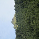 IMG_2614.JPG