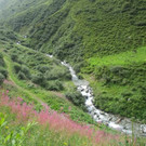 IMG_2625.JPG