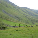 IMG_2627 - Kopie.JPG