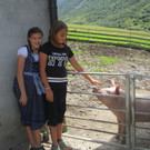 IMG_2651.JPG