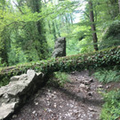 IMG_5713 _Mittel_.jpeg