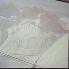 298460.jpg