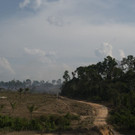 Brazil_Amazon_Fires_10161.jpg