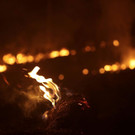 Brazil_Amazon_Fires_09737.jpg