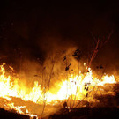 Brazil_Amazon_Fires_50766.jpg