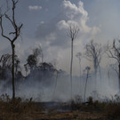 Brazil_Amazon_Fires_68404.jpg