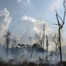 Brazil_Amazon_Fires_08901.jpg