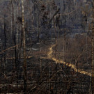 APTOPIX_Brazil_Amazon_Fires_52931.jpg