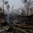 Brazil_Amazon_Fires_74079.jpg