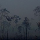 Brazil_Amazon_Fires_30085.jpg