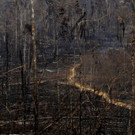 Brazil_Amazon_Fires_52931.jpg