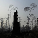 Brazil_Amazon_Fires_24693.jpg