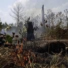 Brazil_Amazon_Fires_93215.jpg