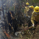 Brazil_Amazon_Fires_84337.jpg