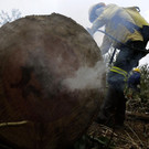 Brazil_Amazon_Fires_86344.jpg