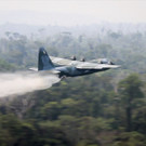 Brazil_Amazon_Fires_87128.jpg