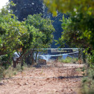 AFP_1JR5F9.jpg