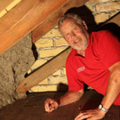 Dornbirn: Riesiges Wespennest entdeckt