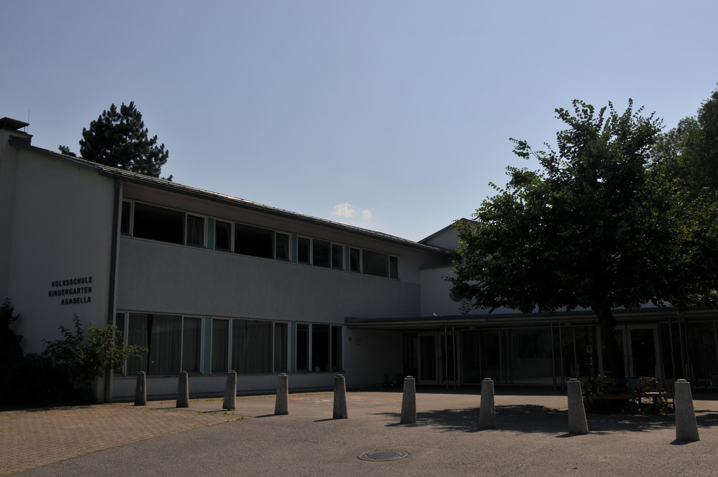 Agasella.JPG