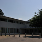 Agasella.JPG