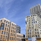 ABD0053-20190828.jpg