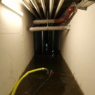 Überflutungen in Wiener Neustadt