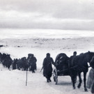 Hans Greber Kolonne an der Ostfront.jpg