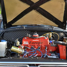 DSC_6665.jpg