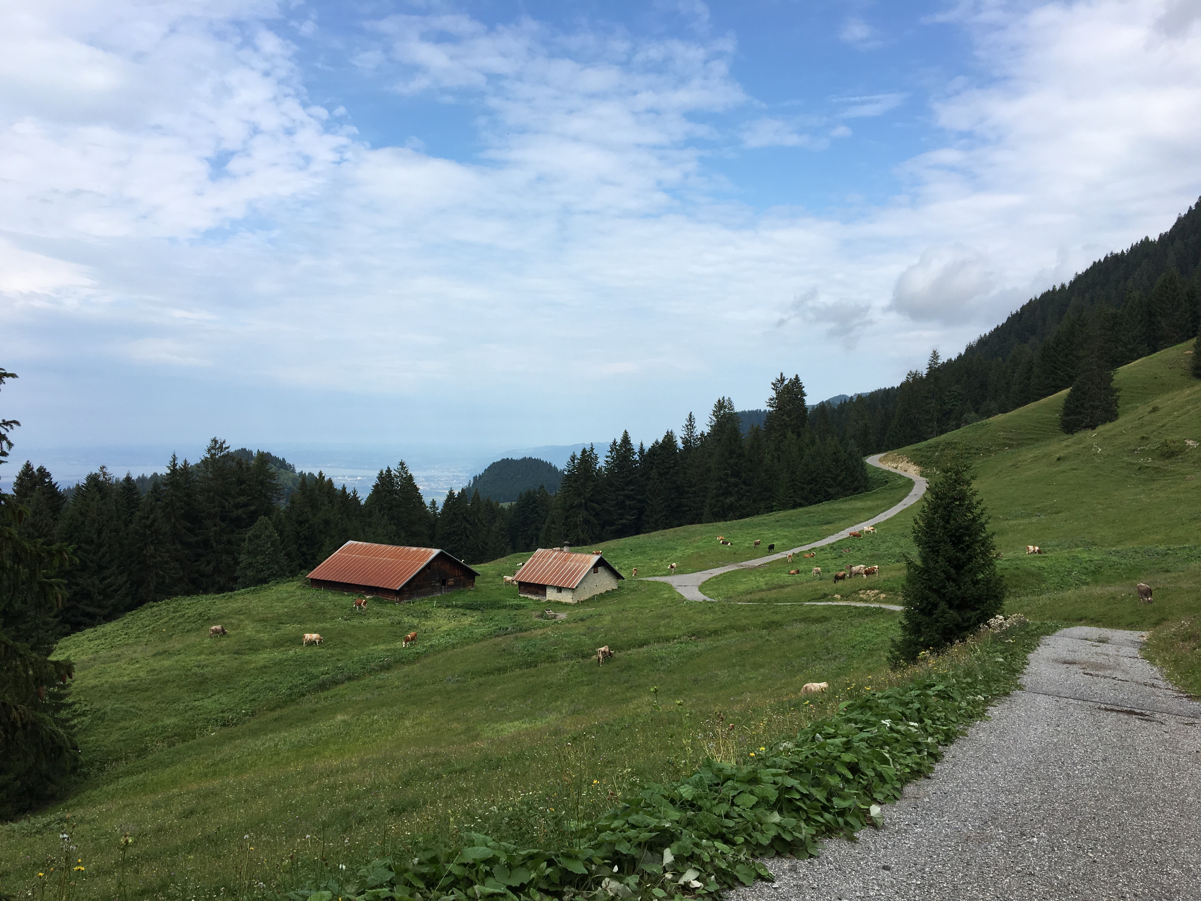 schwimmersboden 08-2019_kam.JPG