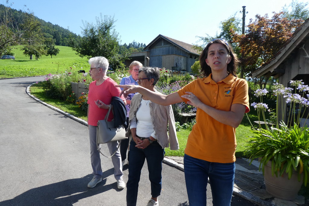 Truthahn Marte  03.jpg