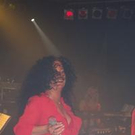 312895.jpg