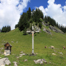 Am Wanderweg zur Alpe.JPG