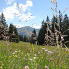 IMG_1072.JPG